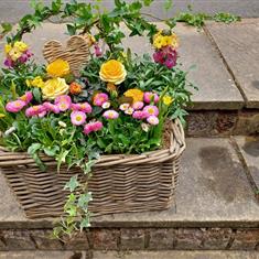 Large Spring Planted Basket 