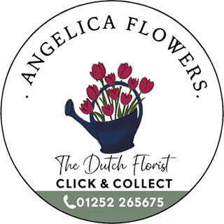 Angelica Same Day Flowers Farnham