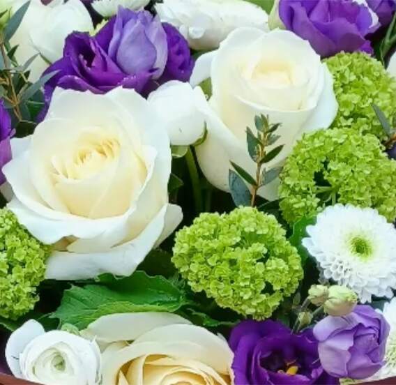 Seasonal Flowers