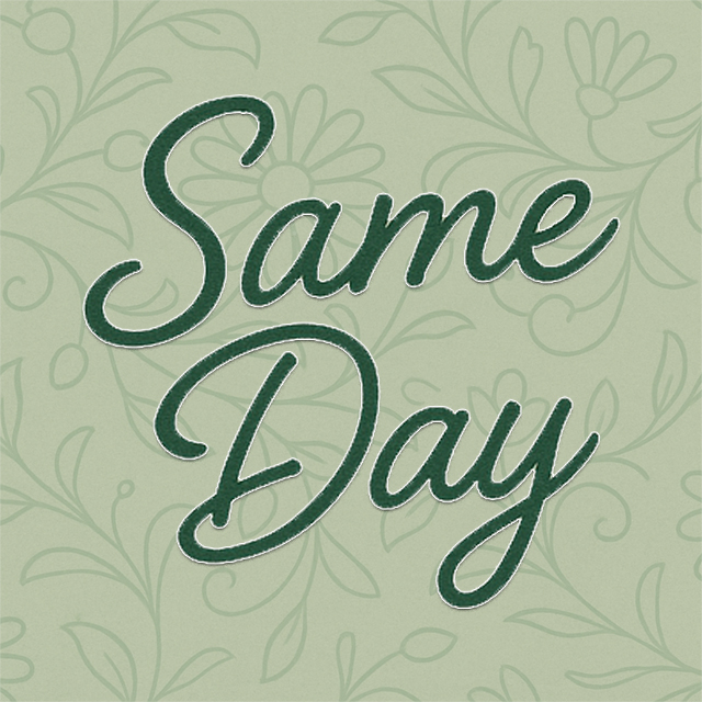Same Day