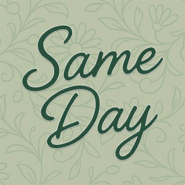 Same Day