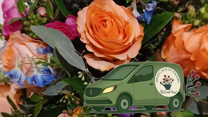 Replace with your image alt text