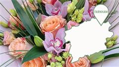 Direct Delivery in Farnham