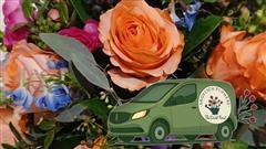 Same Day Delivery flowers